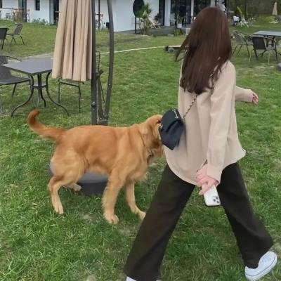 我兄弟的婚礼